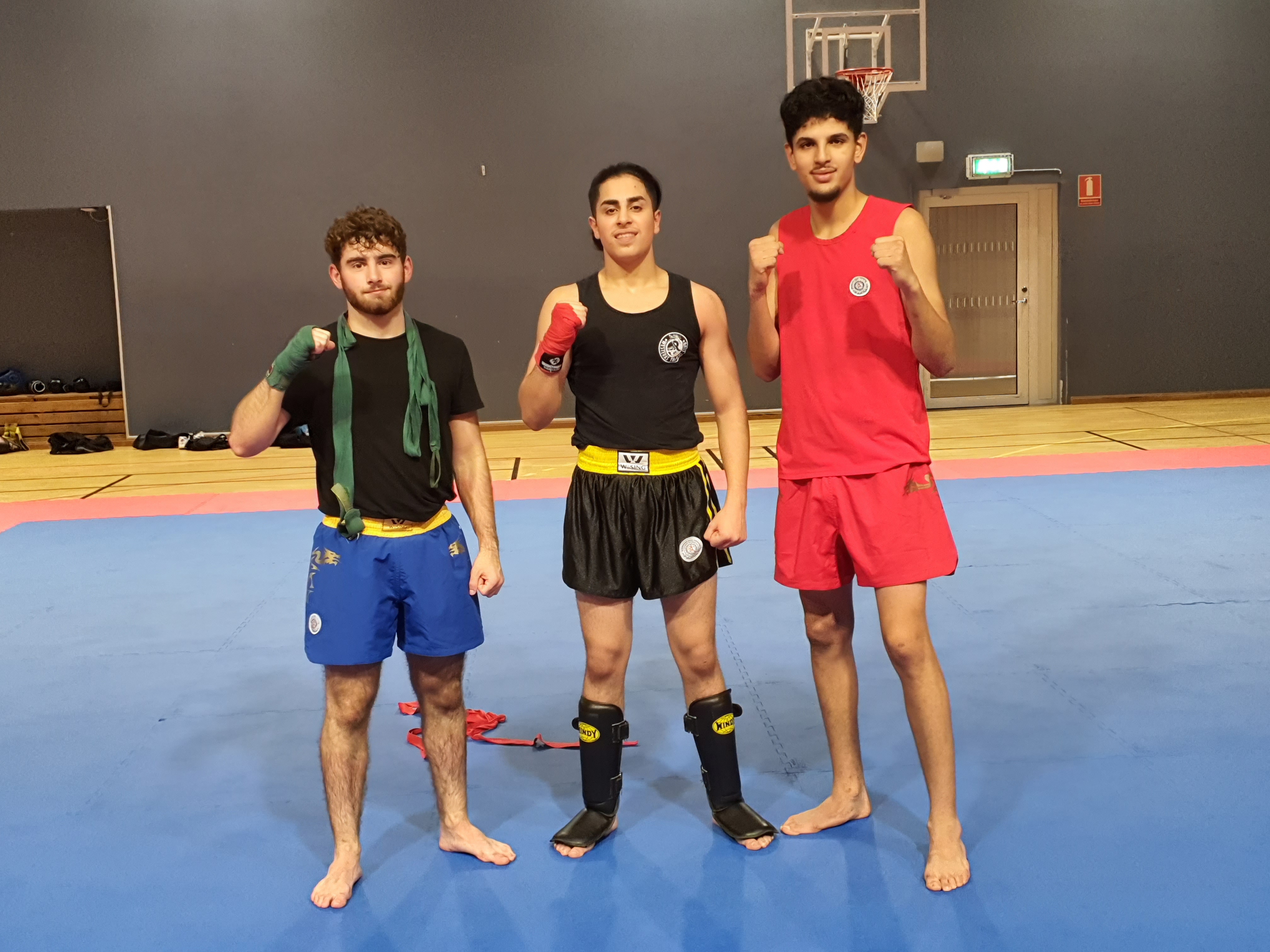 Aktuell händelse eller tävling från Westeras Tai-Nui Club i Västerås - Wushu Sanda, MMA eller Submission Wrestling